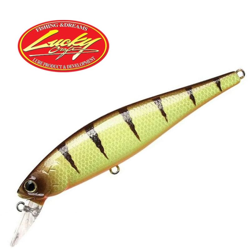 LUCKY CRAFT Pointer 48DD SP Fishing Lure Japan Hard Bait,Trout,Perch,Pike
