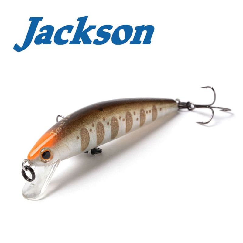 Jackson Trout Tune 55S GCY