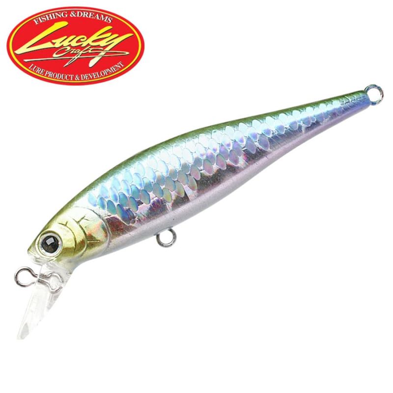 Lucky Craft Pointer 65 SP MS Japan Shad