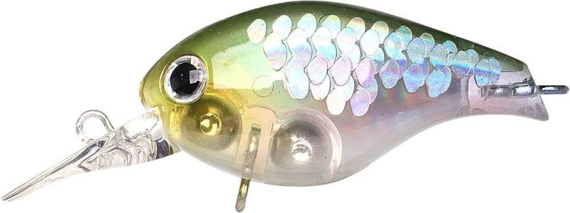 Lucky Craft Clutch MR F4 MS Japan Shad